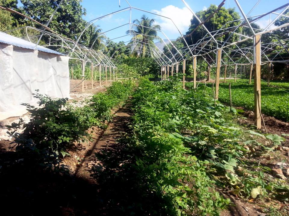 1544952_719962064695825_1987015790_n