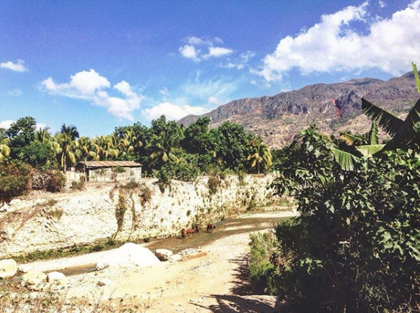 Screen Shot 2020-02-28 at 11.20.24 AM